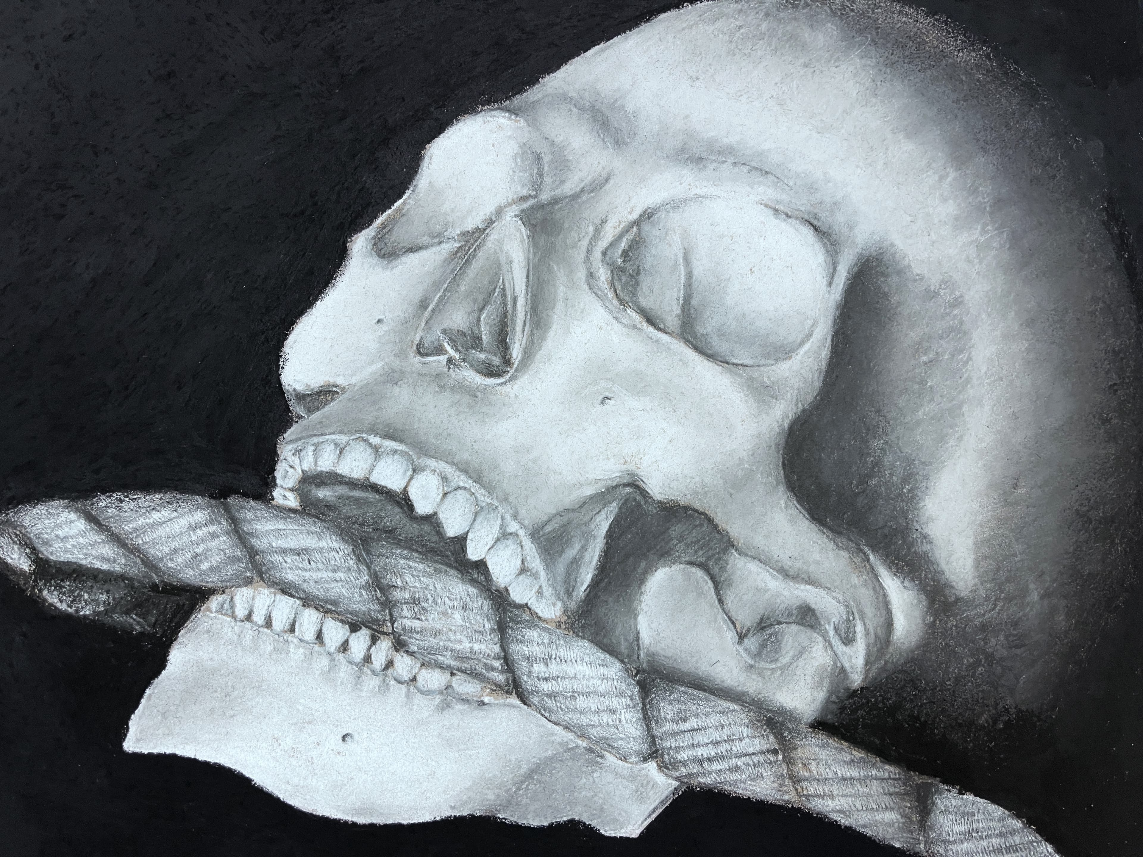 Chrarcoal Skull & Bones